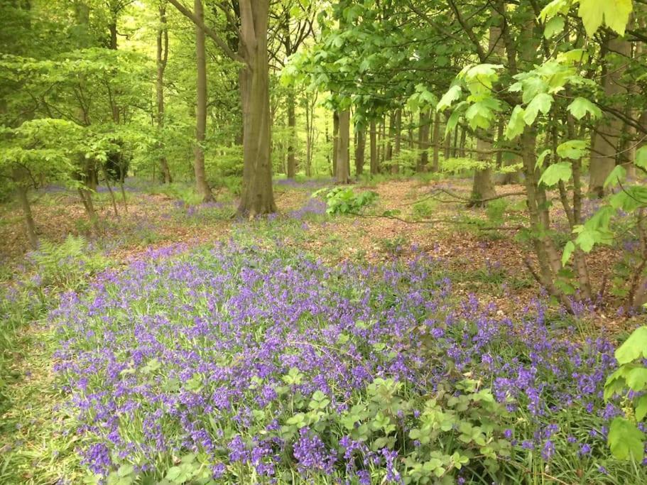 Beck Hill Cottage In Brandsby York Esterno foto